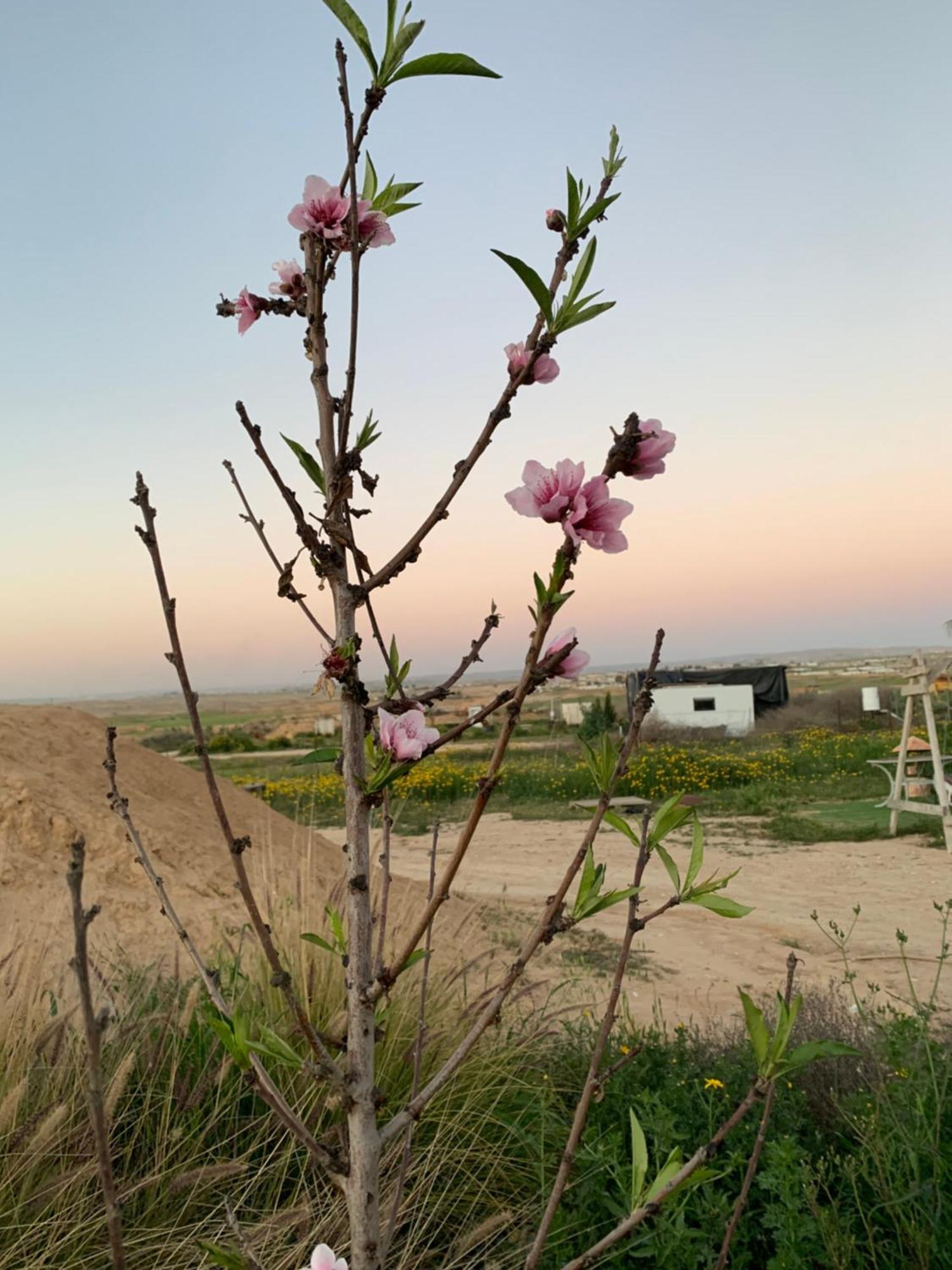 Campingplatz הכנסת אורחים B